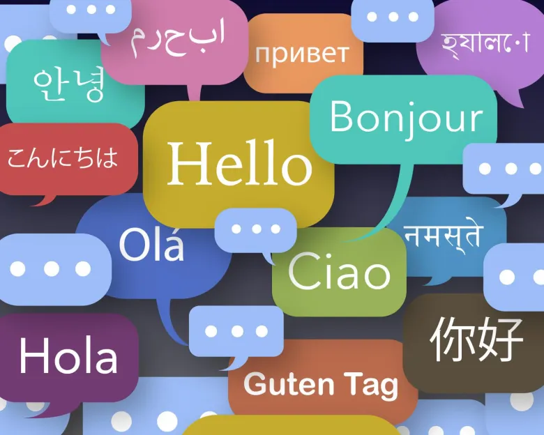 How to Build a Local Google Translate Clone